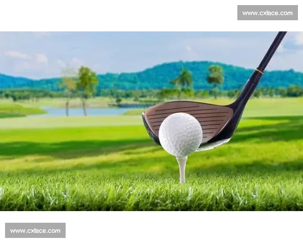 全球高尔夫排名体系演变与顶尖球手竞争格局解析发展趋势观察